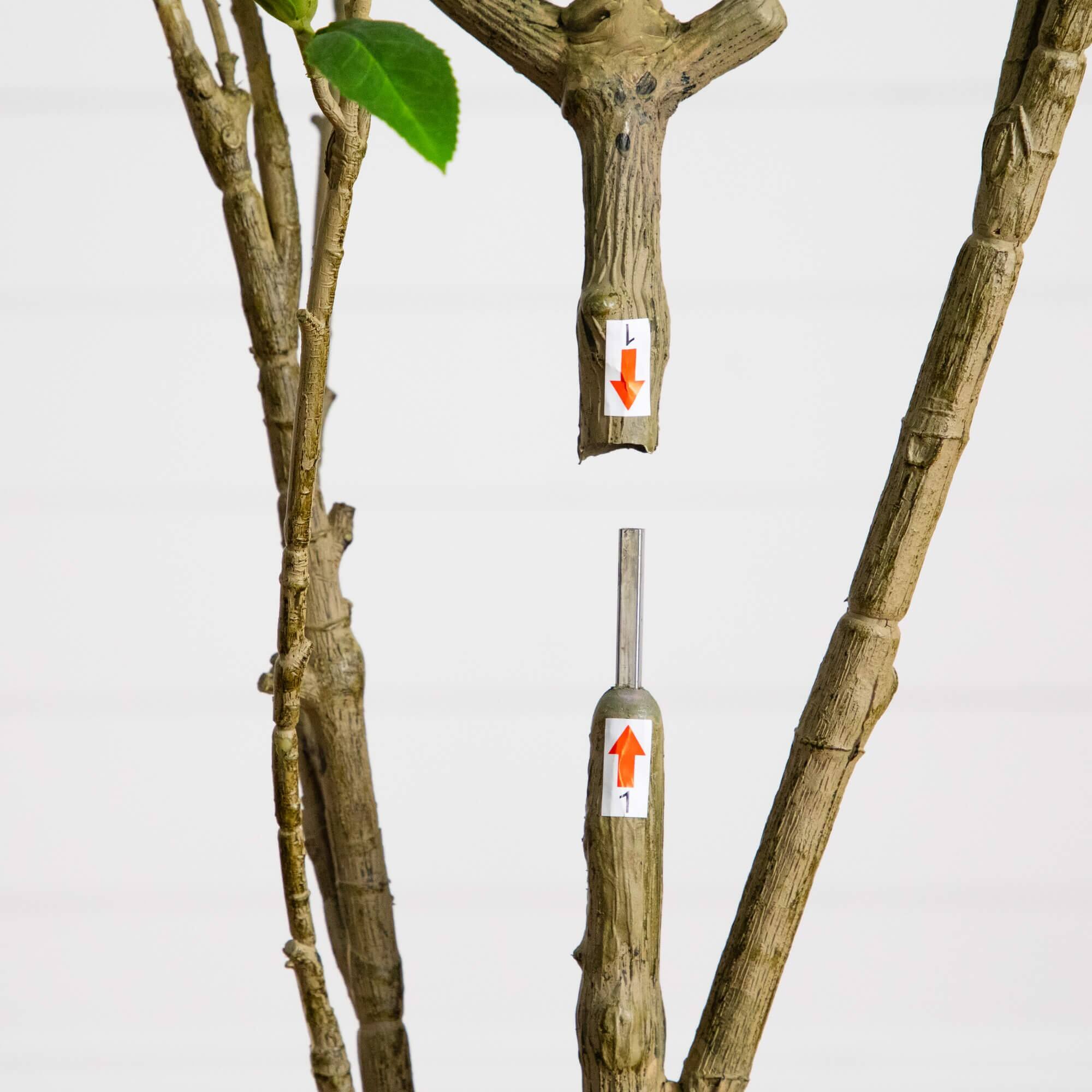 6ft. Artificial Minimalist Japanese Pieris Tree